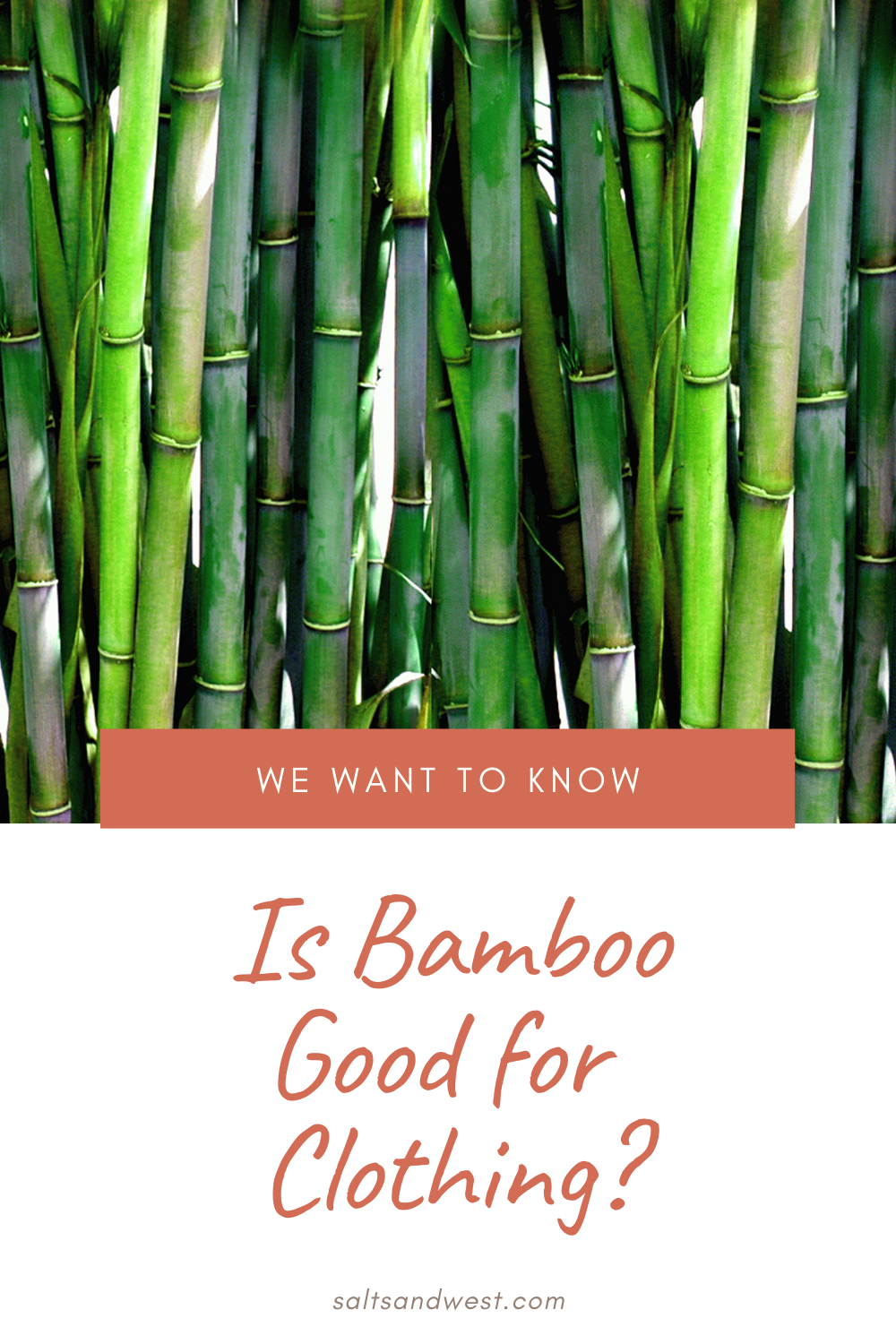 Is bamboo good for clothing?